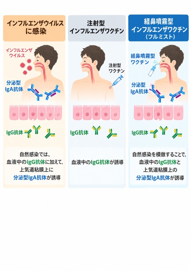 インフルエンザワクチン比較_A4